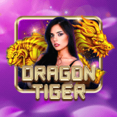 Dragon Tiger ninogaming apk live casino